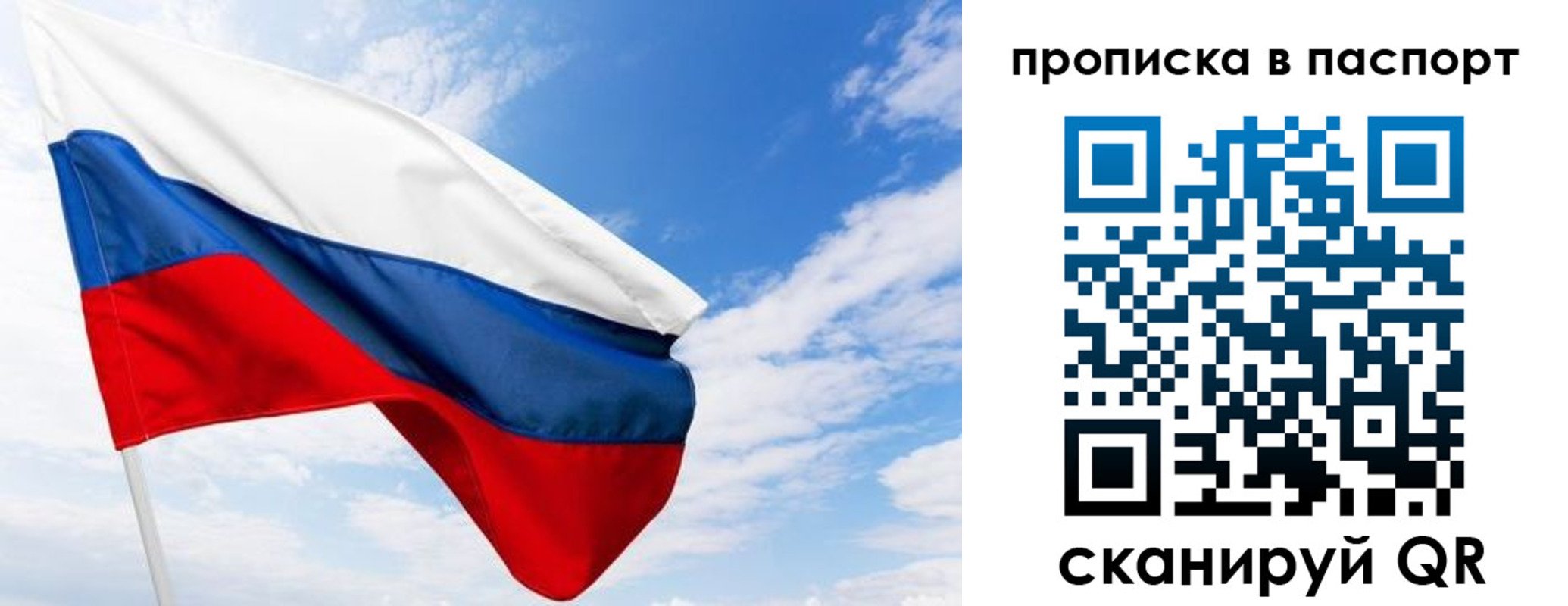 прописка поиск в Краснозаводске